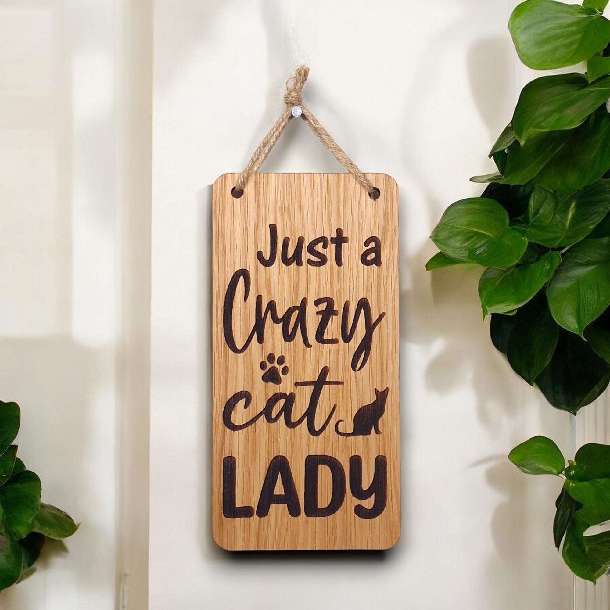 JustAcrazyCatLady-Photoroom.jpg