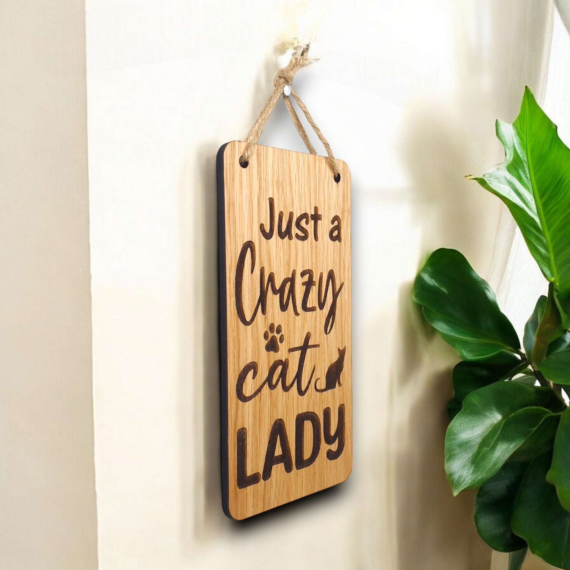 JustAcrazyCatLady2-Photoroom.jpg